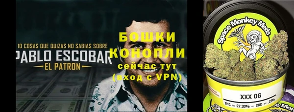 скорость Богданович